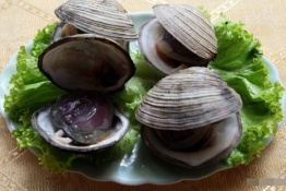 Ngán (Austriella Corrugata) in Halong Bay