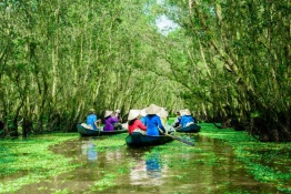 Explore Tra Su Indigo Forest