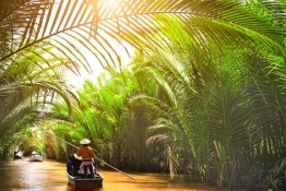 Take a Mekong Delta day tour